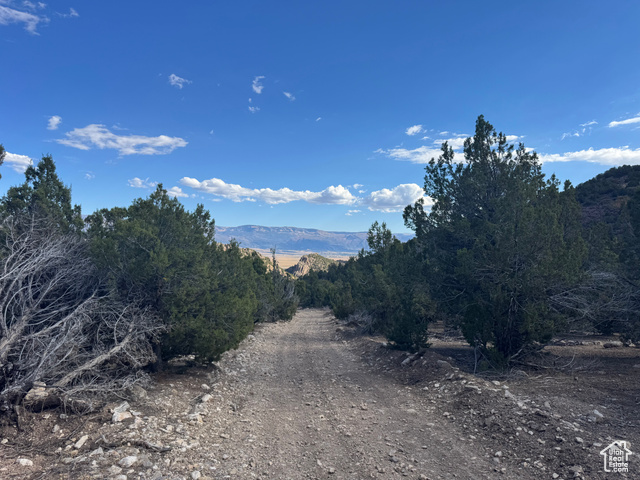 25  WALES CYN, Wales UT 84667