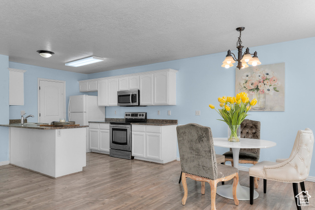 Photo 10 for MLS #2114758 at 13144 S Woods Park Dr