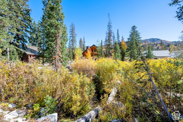 Photo 65 for MLS #2114895 at 8132 S Brighton Rd