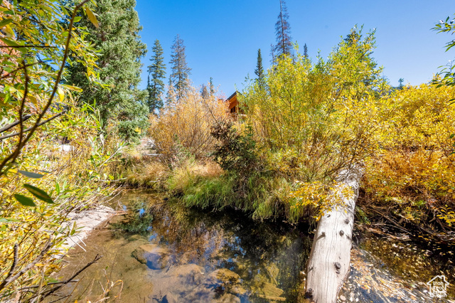 Photo 64 for MLS #2114895 at 8132 S Brighton Rd