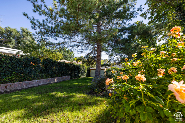 Photo 33 for MLS #2114904 at 1120 E Sunnyside Ave