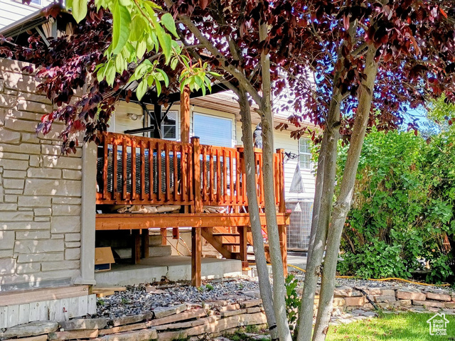 Photo 50 for MLS #2114906 at 1407 Shepherd Dr