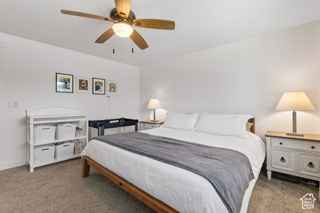 Photo 11 for MLS #2114957 at 4332 S 4665 West
