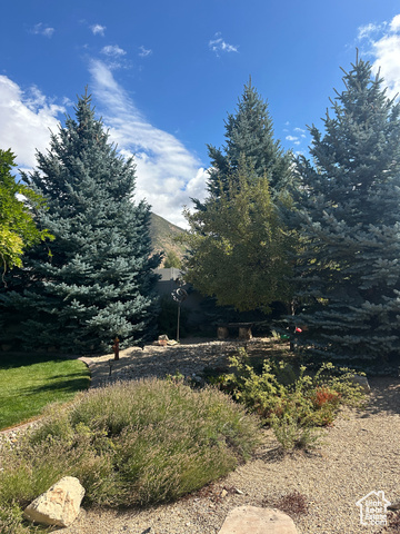 Photo 33 for MLS #2114960 at 607 S Haylie Ln