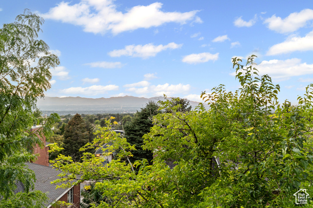 Photo 81 for MLS #2114993 at 7732 S Timberline Dr