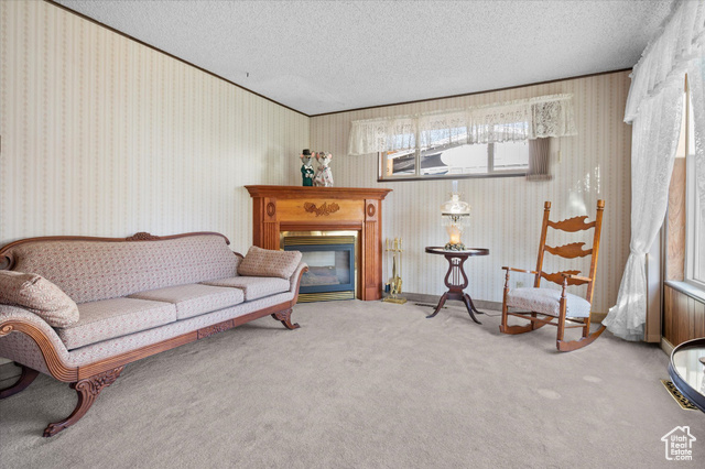 Photo 4 for MLS #2115032 at 131 W 650 North