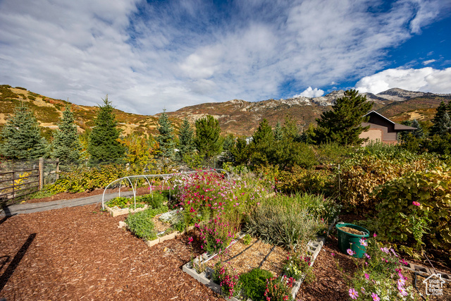 Photo 48 for MLS #2115034 at 1801 N Fort Canyon Rd