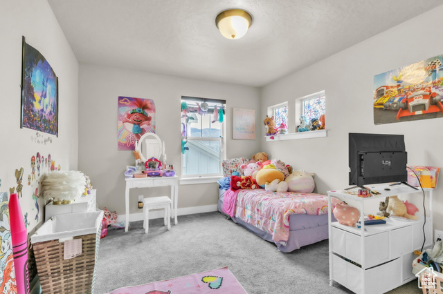 Photo 47 - 348 S Hayes Well Ln, Saratoga Springs UT 84045