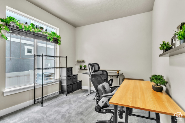 Photo 27 - 348 S Hayes Well Ln, Saratoga Springs UT 84045