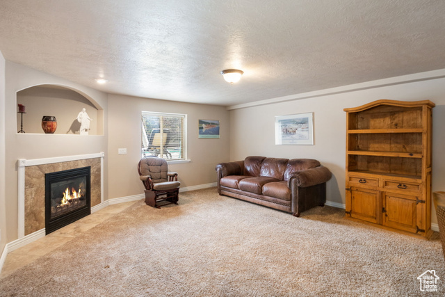 Photo 41 for MLS #2115153 at 10491 S Hemisphere Ct