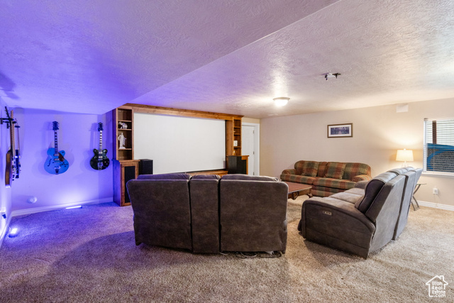Photo 47 for MLS #2115153 at 10491 S Hemisphere Ct