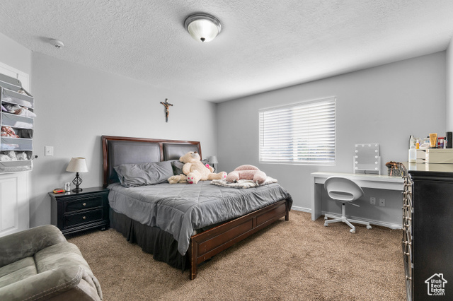 Photo 13 for MLS #2115158 at 1509 W 550 South