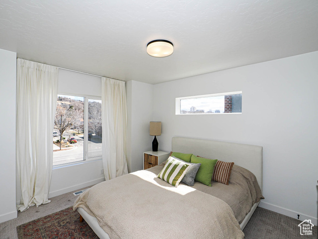 Photo 29 for MLS #2115200 at 723 N 300 West #1