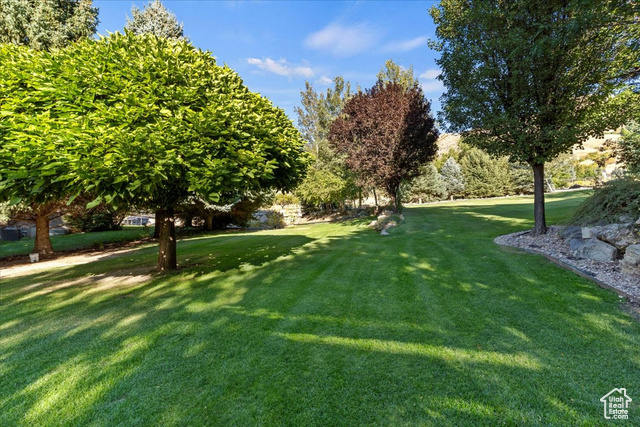 Photo 61 for MLS #2115231 at 1542 S Valley View Dr
