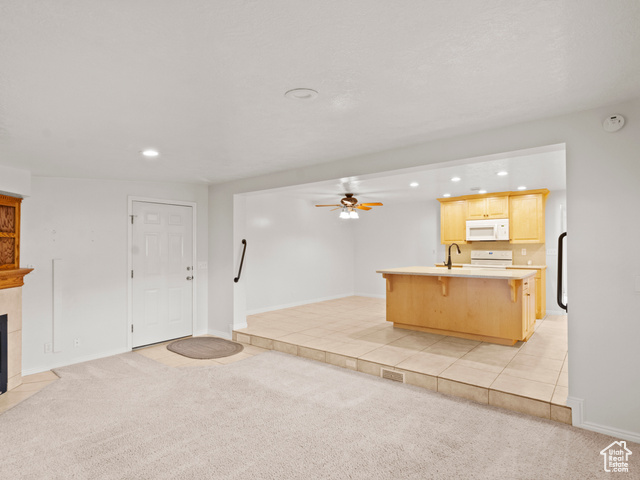 Photo 7 for MLS #2115363 at 10442 S Carnation Dr