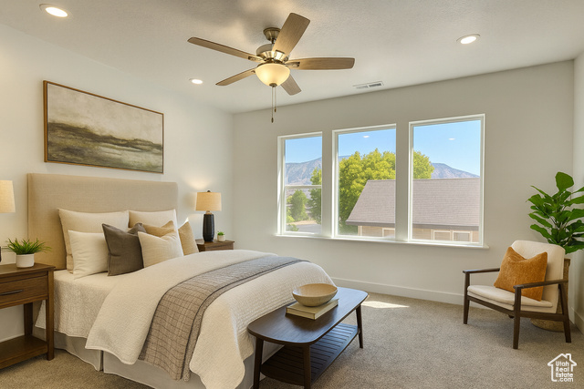 Photo 6 for MLS #2115491 at 715 S 350 East