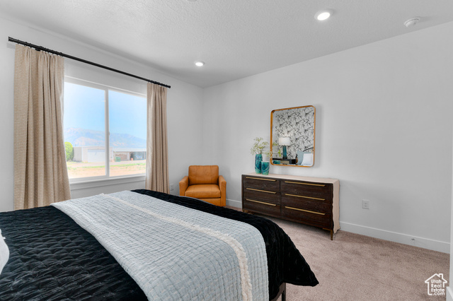 Photo 14 for MLS #2115585 at 4207 W 1575 South #308