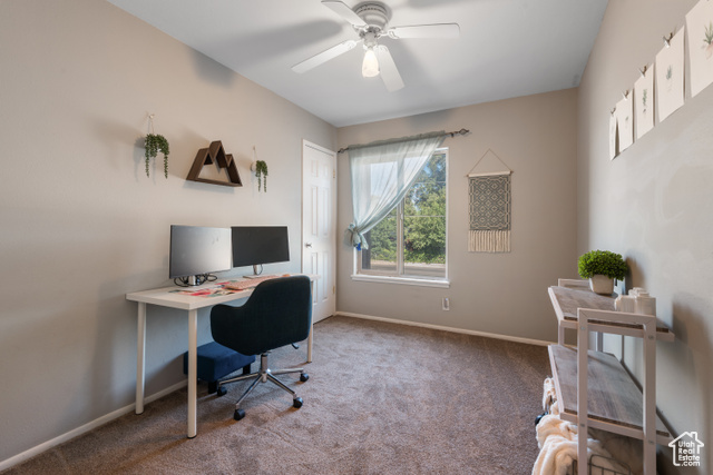 Photo 16 for MLS #2115607 at 4107 S Greyhackle Ln