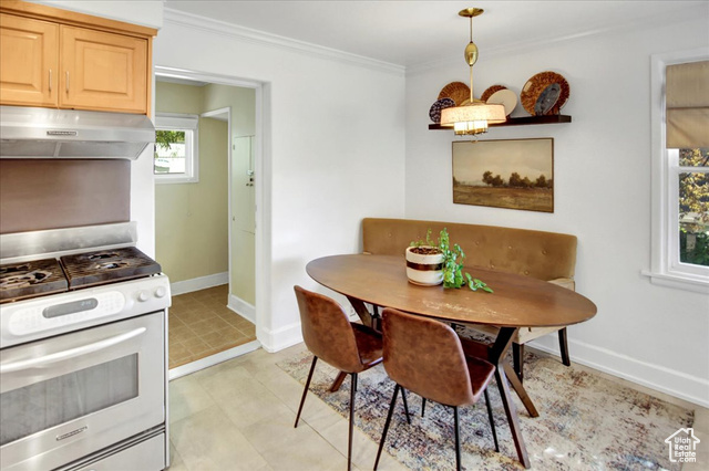 Photo 9 for MLS #2115647 at 372 N I St
