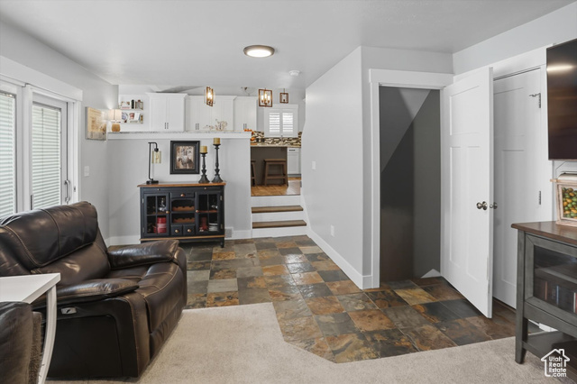 Photo 32 for MLS #2115659 at 11915 S Goldsmith Ct