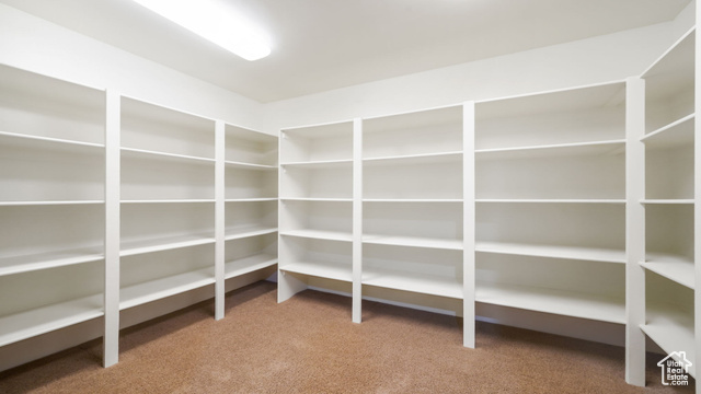Photo 41 for MLS #2115670 at 1481 E Meadow Bluff Ln