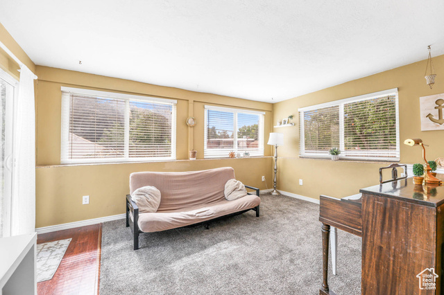 Photo 12 - 209 W Millcreek Way, Tooele UT 84074