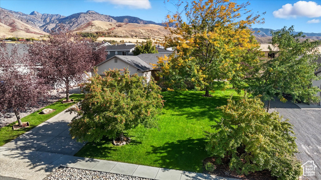 Photo 50 for MLS #2115716 at 568 N Cherry Creek Pkwy