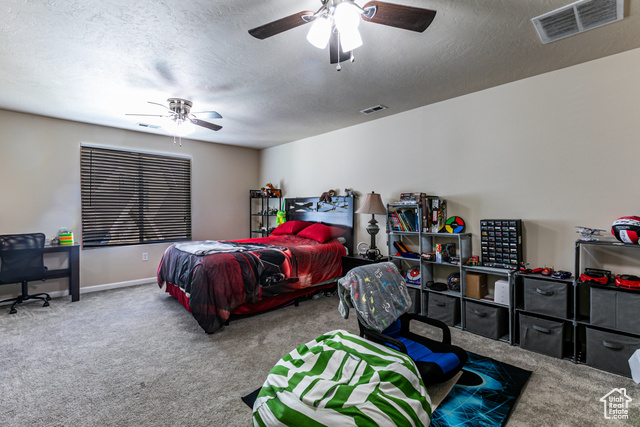 Photo 25 for MLS #2115743 at 3174 S Park Commons Way