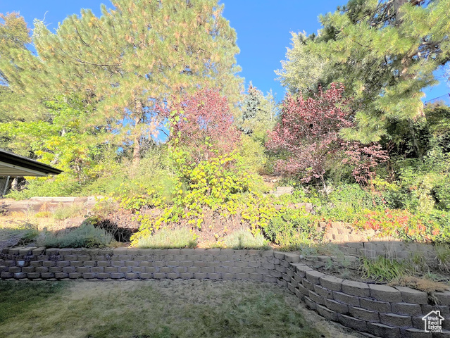 Photo 41 for MLS #2115768 at 8797 Hidden Oak Dr