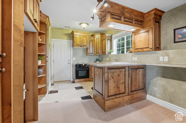 Photo 31 for MLS #2115796 at 357 S Paintbrush Ln