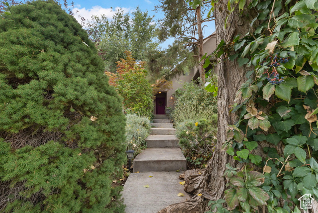 Photo 28 for MLS #2115823 at 178 N Valley View Dr
