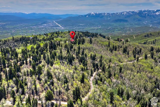 Photo 56 for MLS #2115891 at 10941 N Hailes Loop