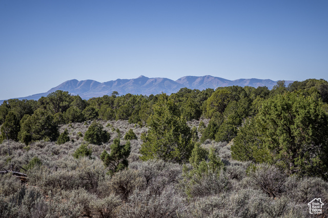 1250 W SUMMIT RD, Monticello UT 84535