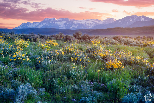 1115 E HOYT PEAK RANCH RD, Marion UT 84036