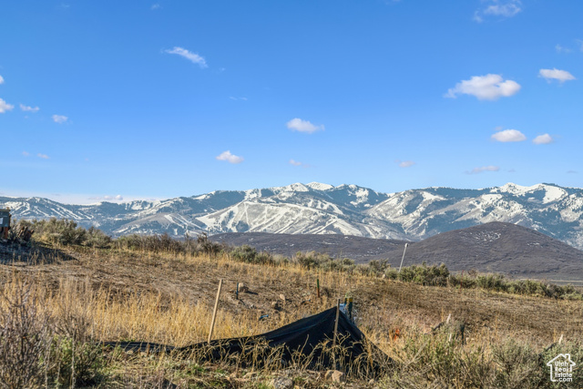 Photo 18 for MLS #2116084 at 3101 Hills Ridge Rd