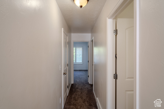 Photo 29 for MLS #2116085 at 1287 W Milky Hollow Ln