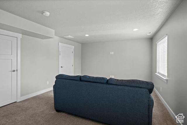 Photo 29 for MLS #2116091 at 924 S Aspen Summit Dr