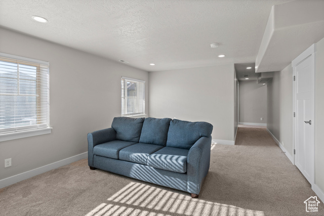 Photo 30 for MLS #2116091 at 924 S Aspen Summit Dr
