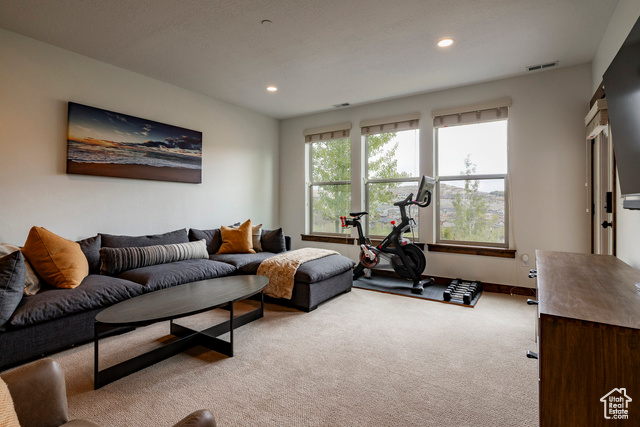 Photo 29 for MLS #2116119 at 924 W Abigail Dr