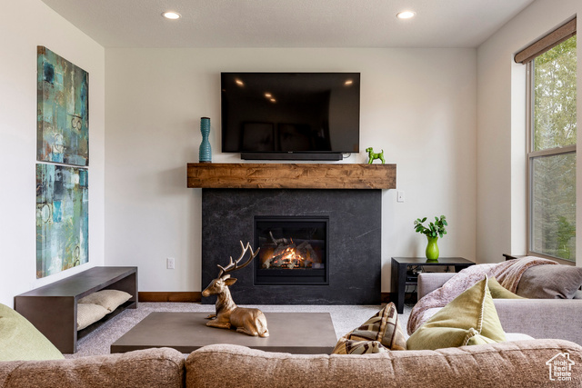 Photo 5 for MLS #2116119 at 924 W Abigail Dr