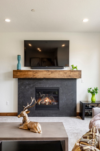 Photo 13 for MLS #2116119 at 924 W Abigail Dr