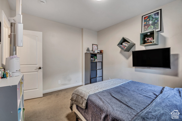 Photo 42 for MLS #2116139 at 2868 S Cottontail Loop