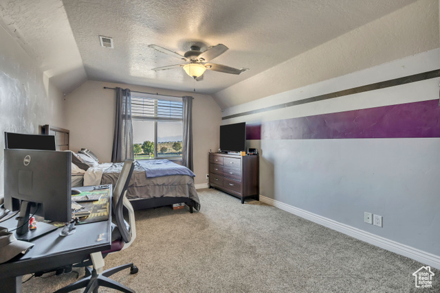 Photo 25 for MLS #2116139 at 2868 S Cottontail Loop