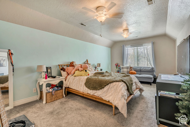Photo 23 for MLS #2116139 at 2868 S Cottontail Loop