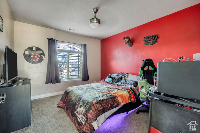 Photo 27 for MLS #2116139 at 2868 S Cottontail Loop