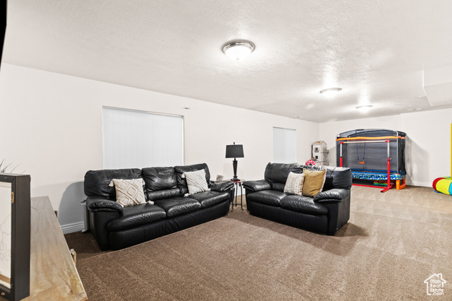 Photo 18 for MLS #2116200 at 291 W Bubbling Brook Ln