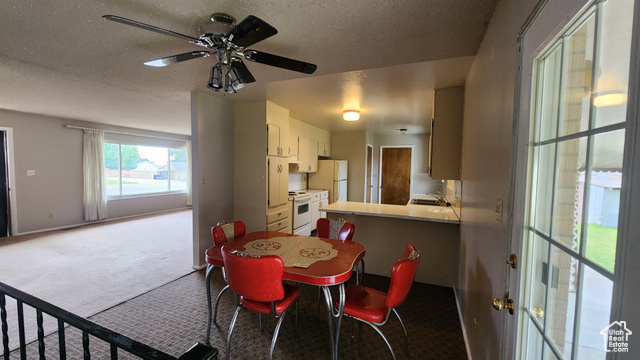 Photo 21 for MLS #2116220 at 425 E 100 South
