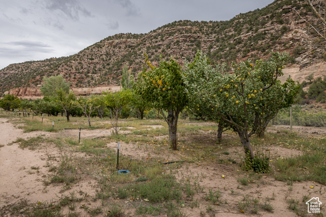 Photo 89 for MLS #2116232 at 1095 S Montezuma Canyon Rd