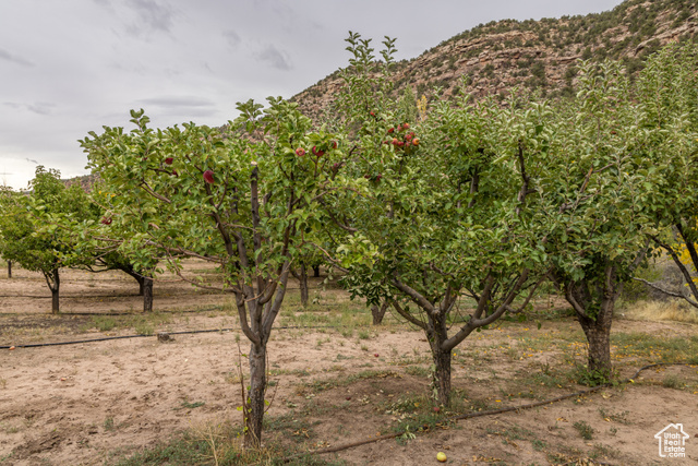 Photo 88 for MLS #2116232 at 1095 S Montezuma Canyon Rd