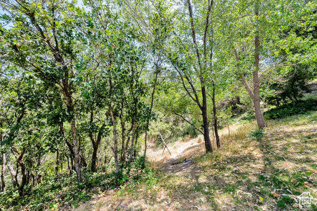 Photo 45 for MLS #2116242 at 923 E Absaroka Ct